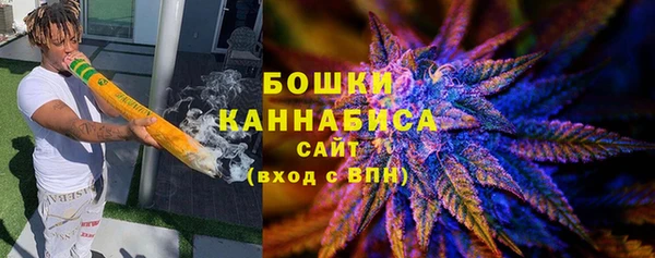 хмурый Белокуриха